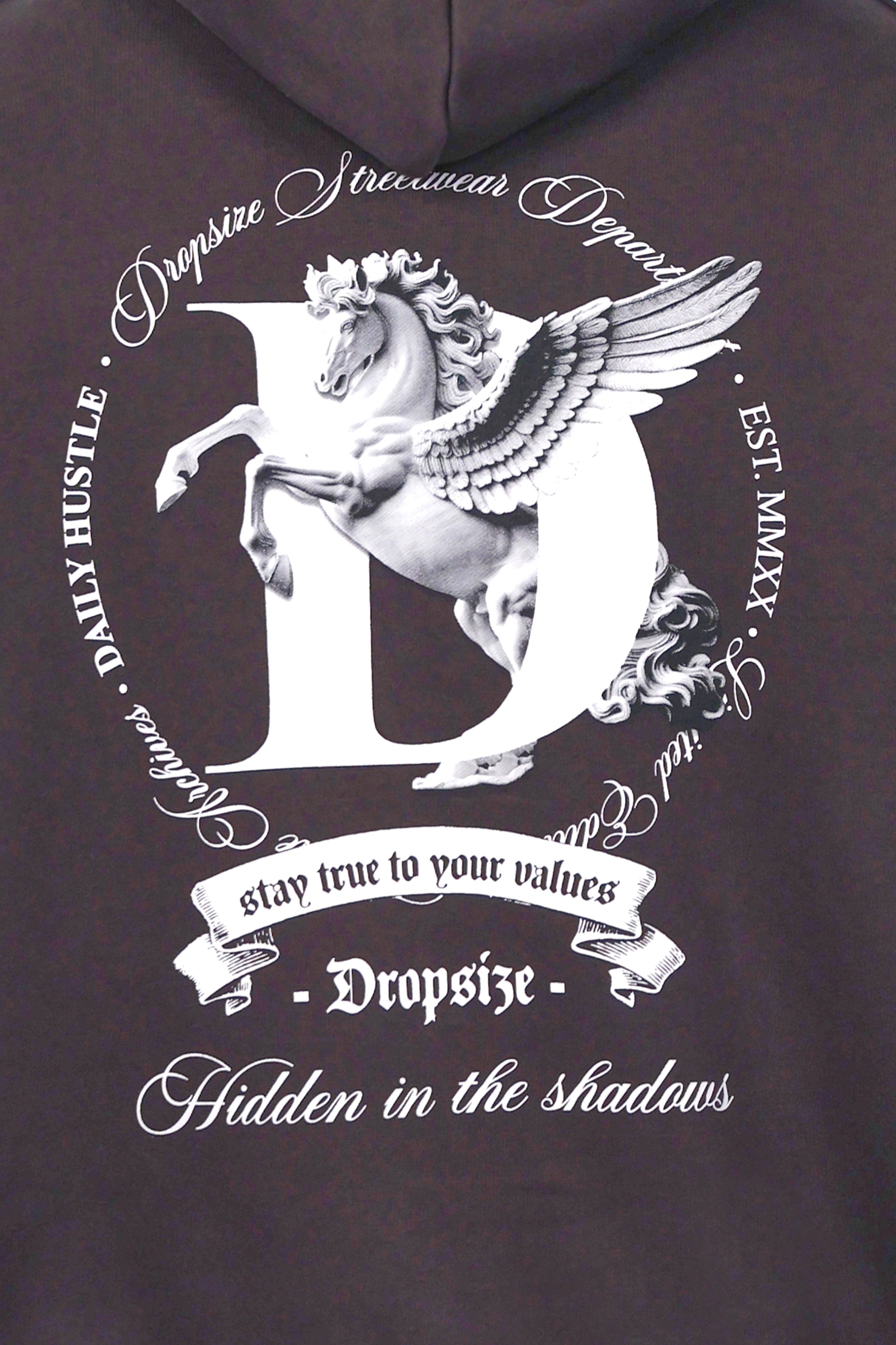 HEAVY OVERSIZE PEGASUS HOODIE WASHED BLACK