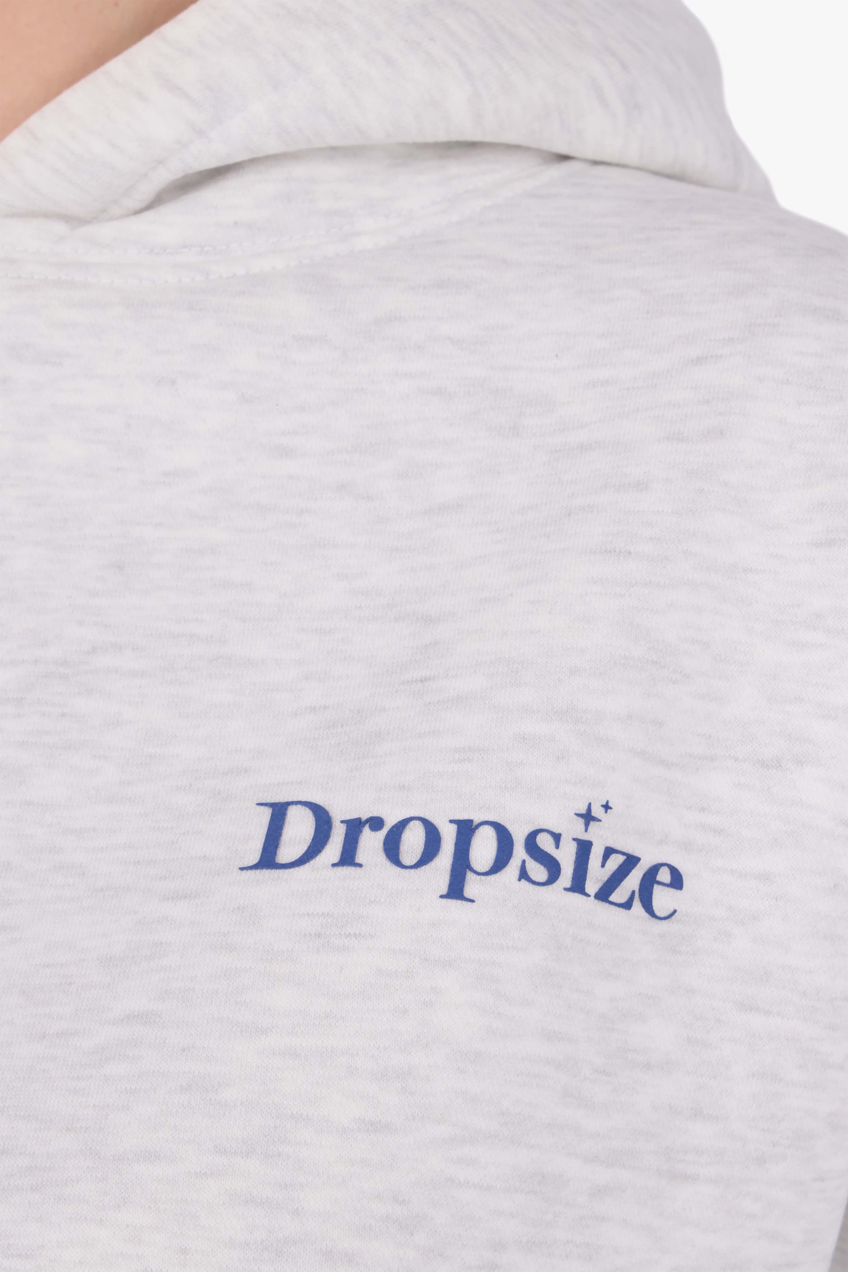 DROPSIZE SOCIAL CLUB WOMEN HOODIE GREY MELANGE