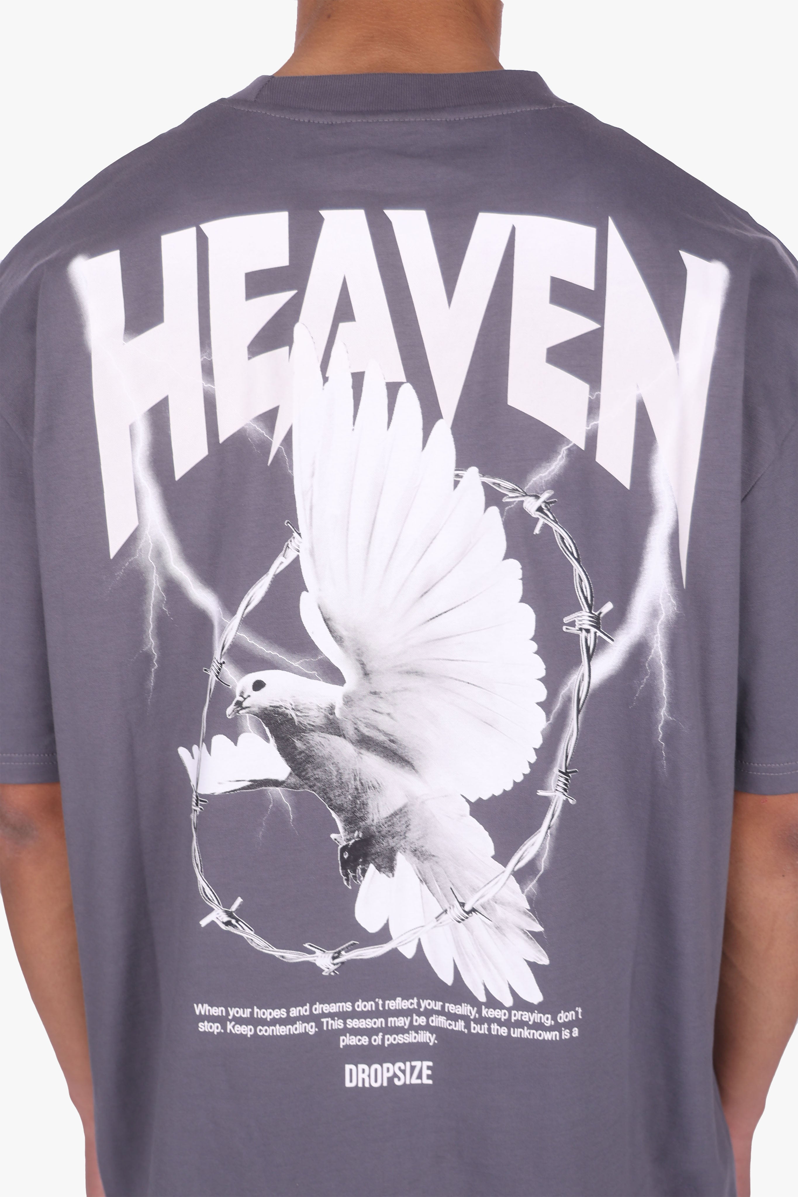 HEAVY OVERSIZED HEAVEN DOVE T-SHIRT STEEL GREY