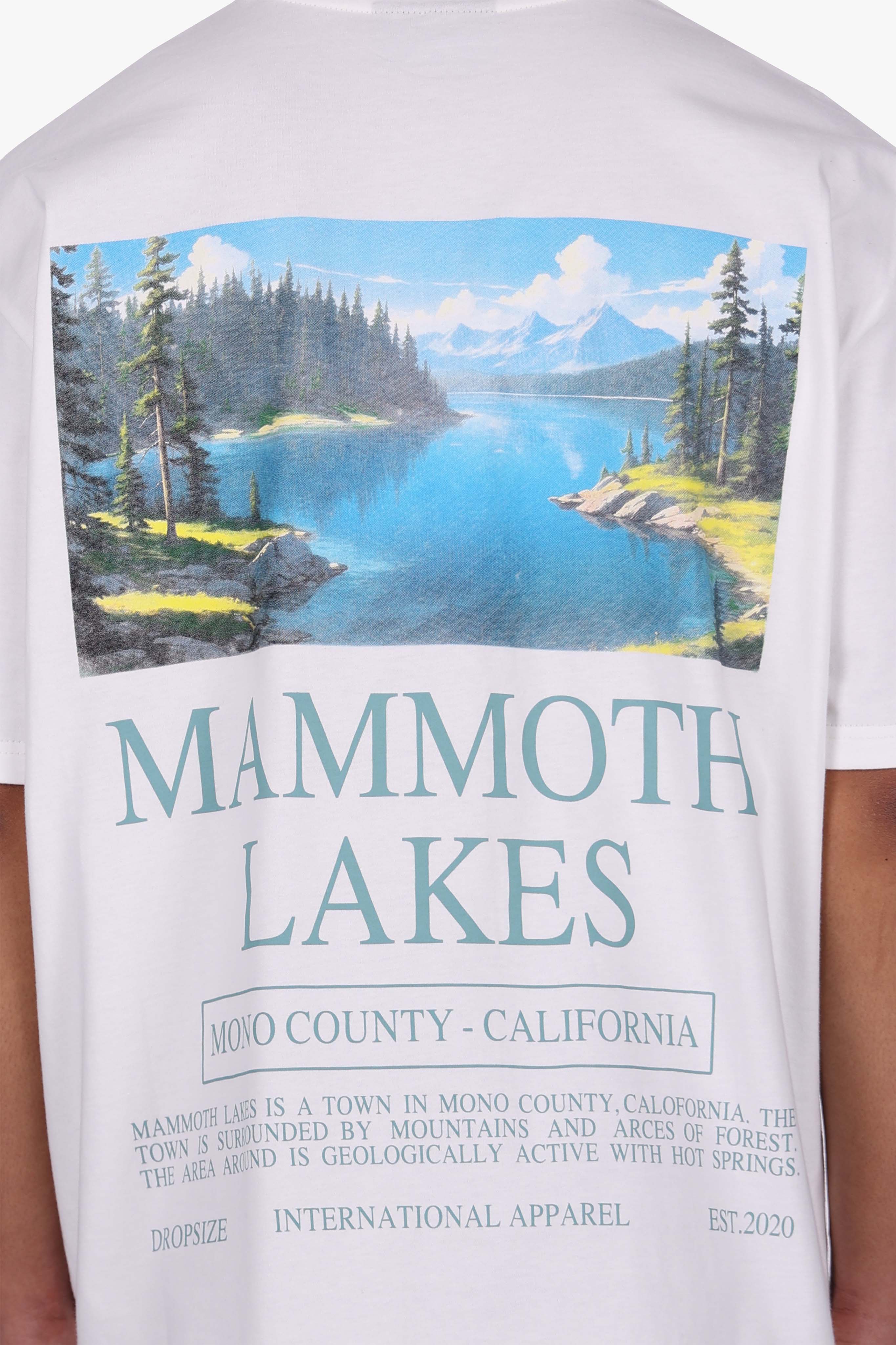 HEAVY OVERSIZE LAKES T-SHIRT CREAM WHITE