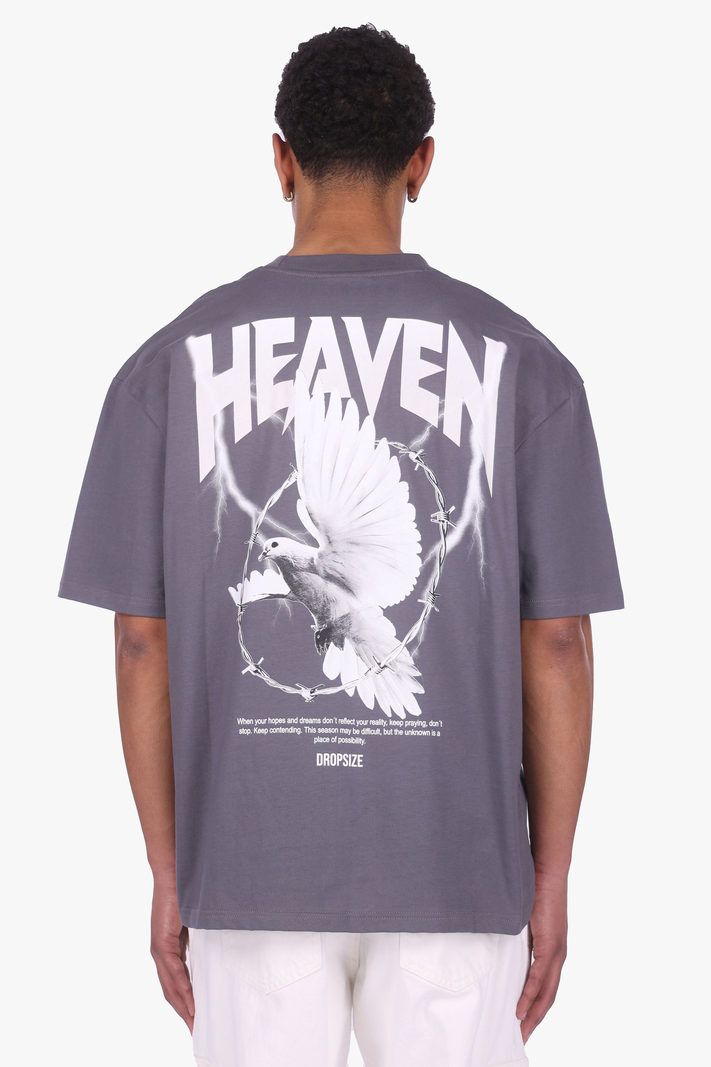 HEAVY OVERSIZED HEAVEN DOVE T-SHIRT STEEL GREY