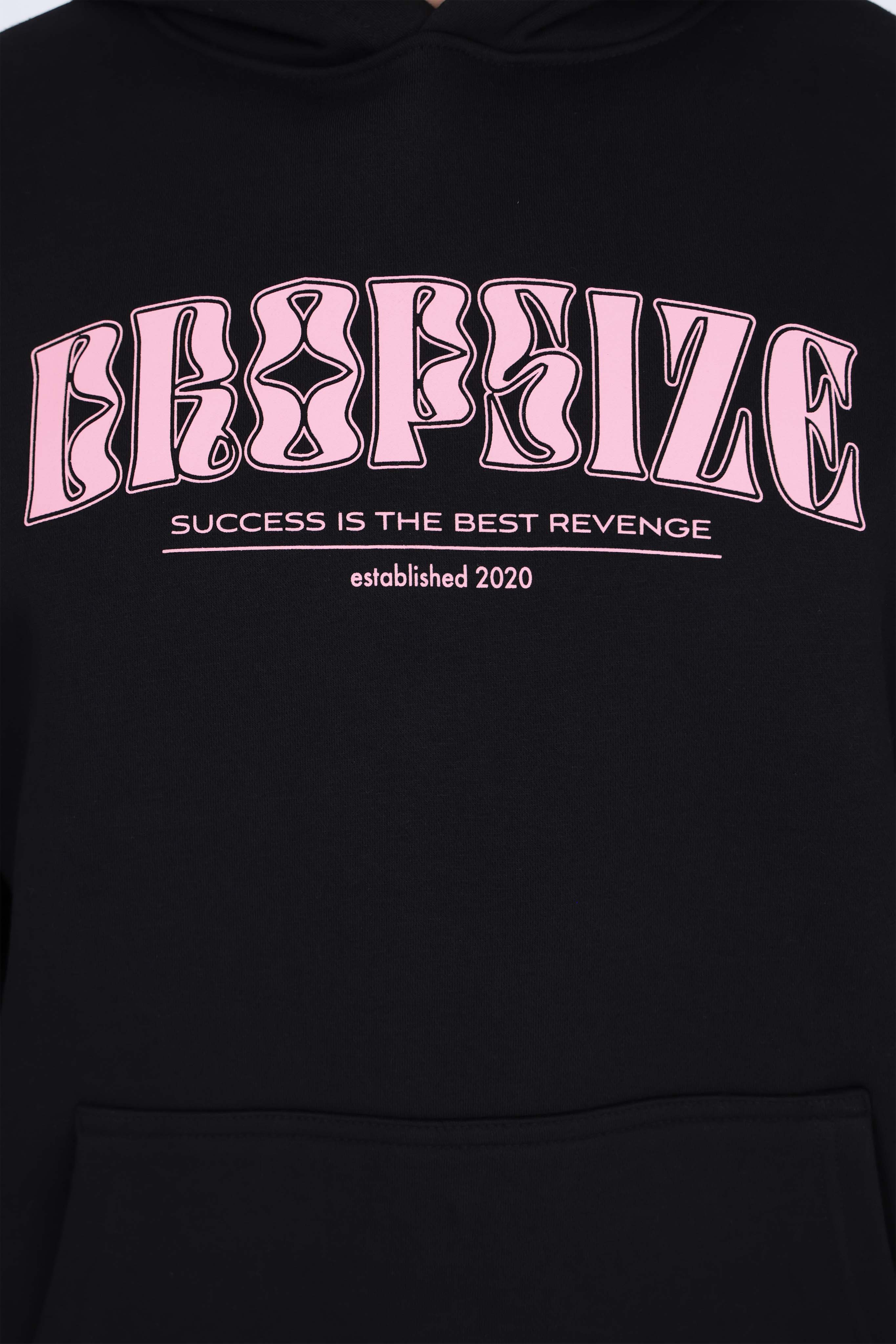 DROPSIZE SUCCESS GLITCH HOODIE JET BLACK