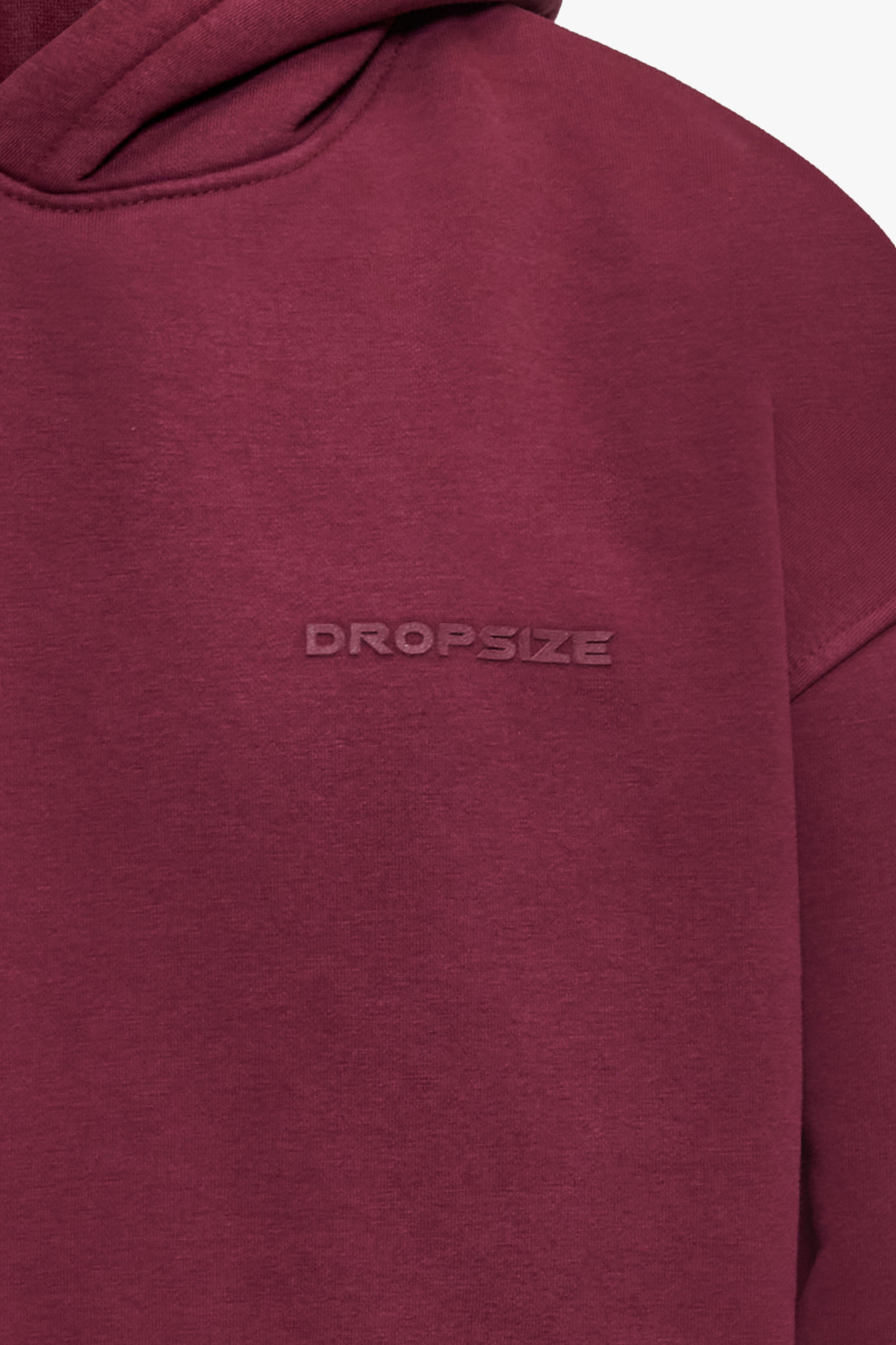 HD LOGO HOODIE WASHED CRANBERRY RED