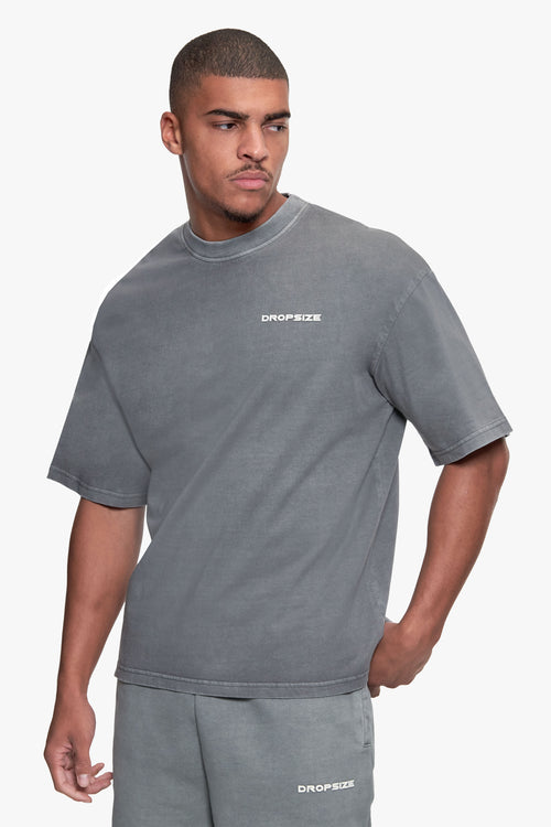 ESSENTIAL LOGO T-SHIRT WASHED GREY