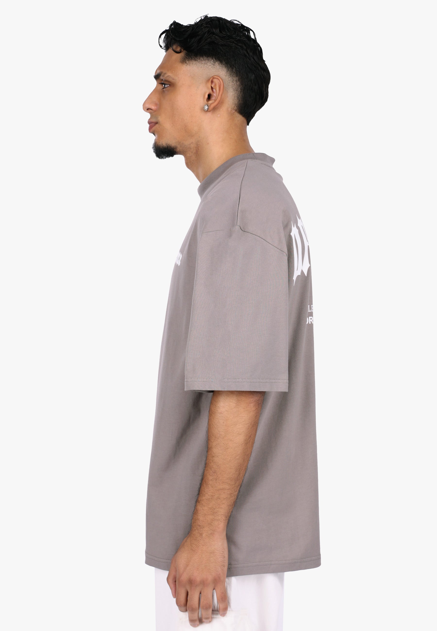 HEAVY OVERSIZE BIG PRINT T-SHIRT DRIFTWOOD